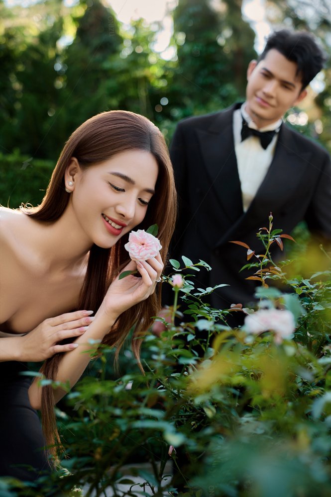Bộ 43: Vũ Garden - Concept 1